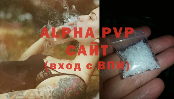 прущие грибы Сатка